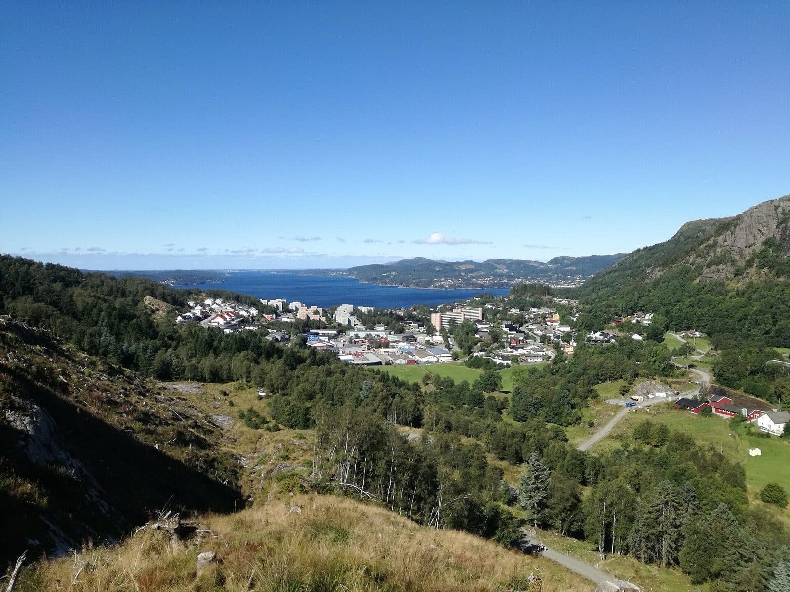 View from the hills at Toppe over the Åsane village of Mjølkeråen in Bergen, with forested slopes around it and the Herdlefjord behind.