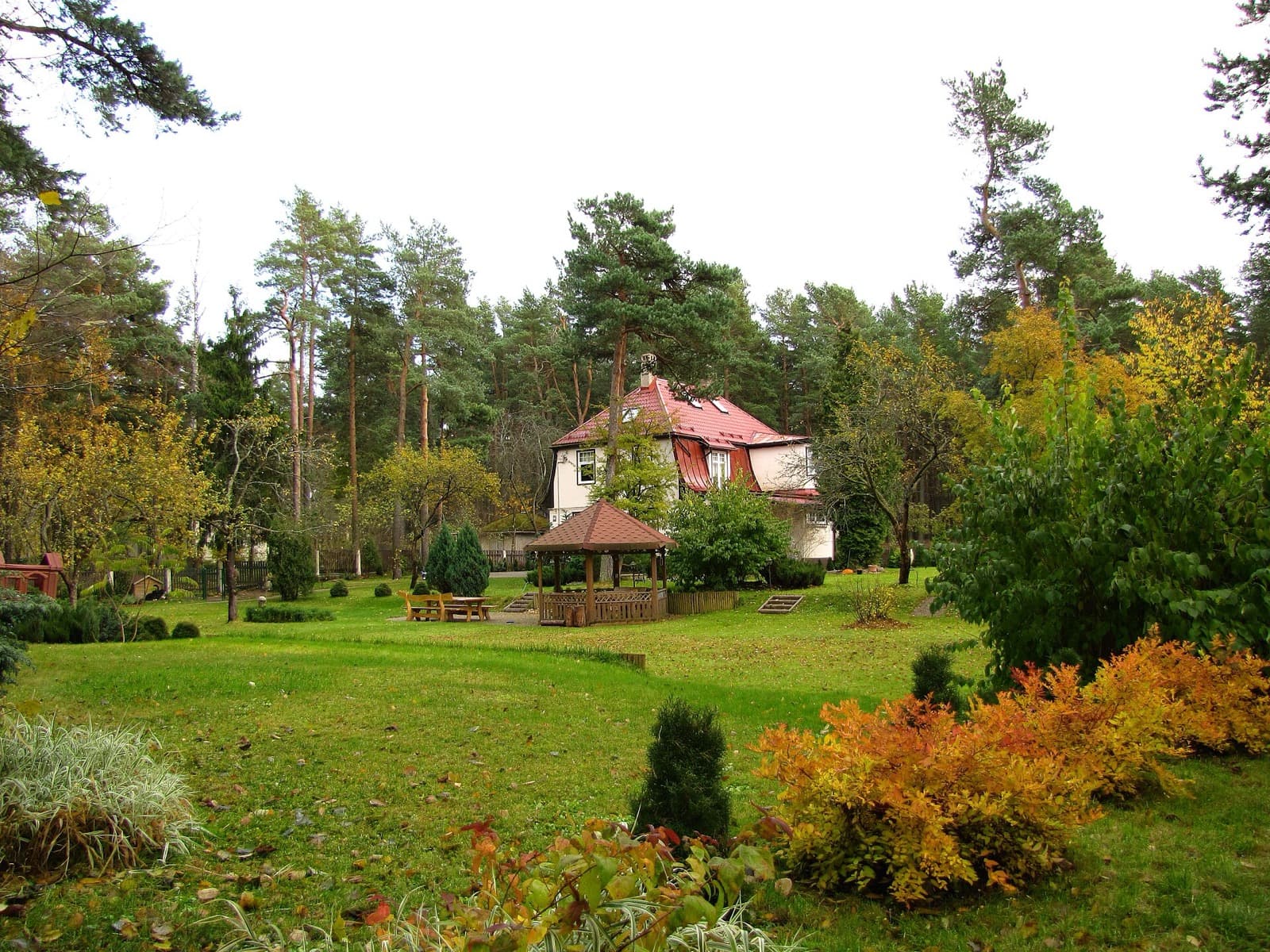 A wooden villa with a red roof set in a large garden among tall pines in autumn, the leafy villa character of Bulduri, Jūrmala, Latvia.