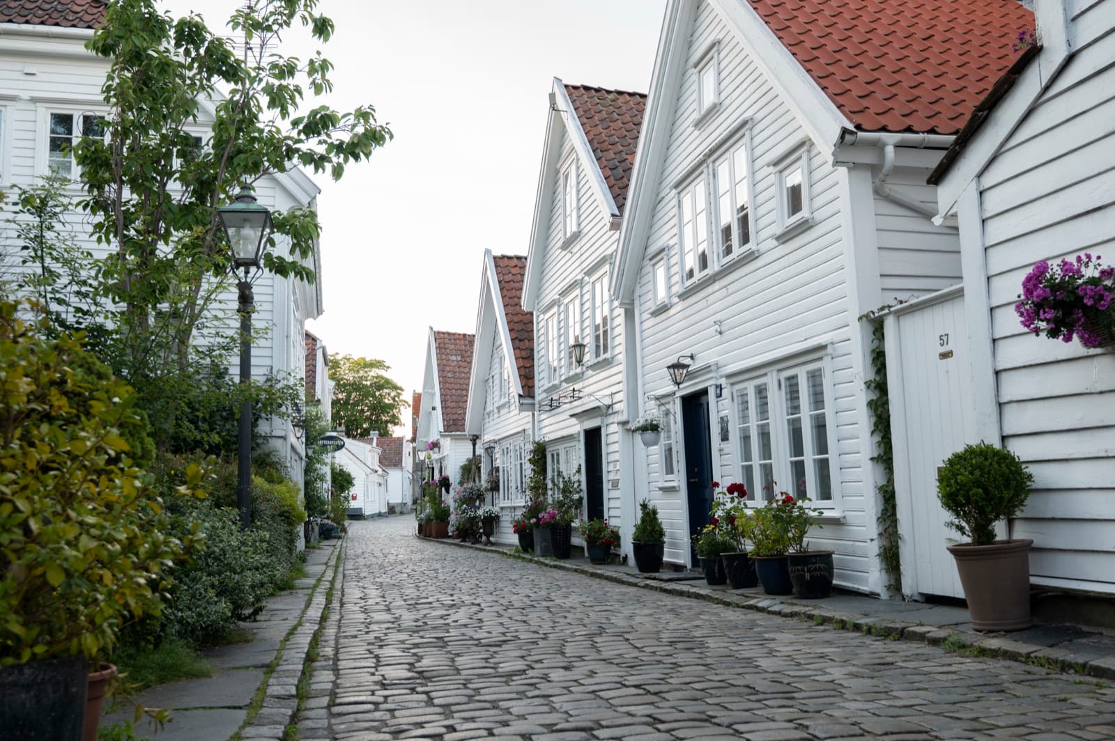 A cobbled lane of white painted wooden houses with potted flowers and old street lamps in Gamle Stavanger, Stavanger, Norway.