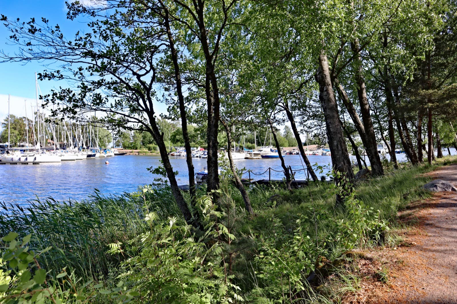The Rantaraitti shore path running past Haukilahti marina in Espoo on a sunny summer day, with birches along the water and moored sailing boats beyond.