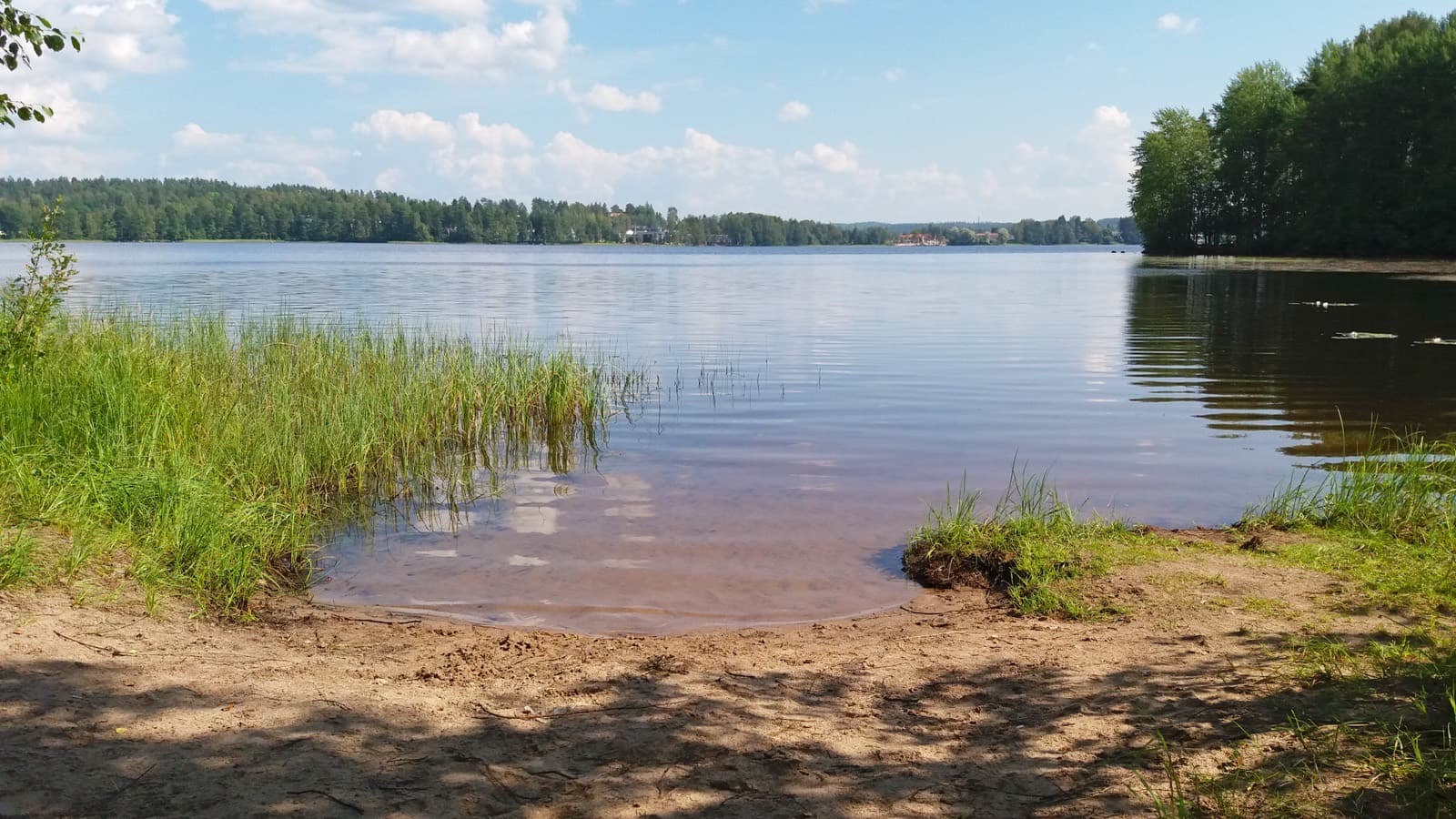 The sandy shore of Lake Tuomiojärvi at Kortepohja in Jyväskylä on a clear summer day, reeds in the shallows and forest on the far side.