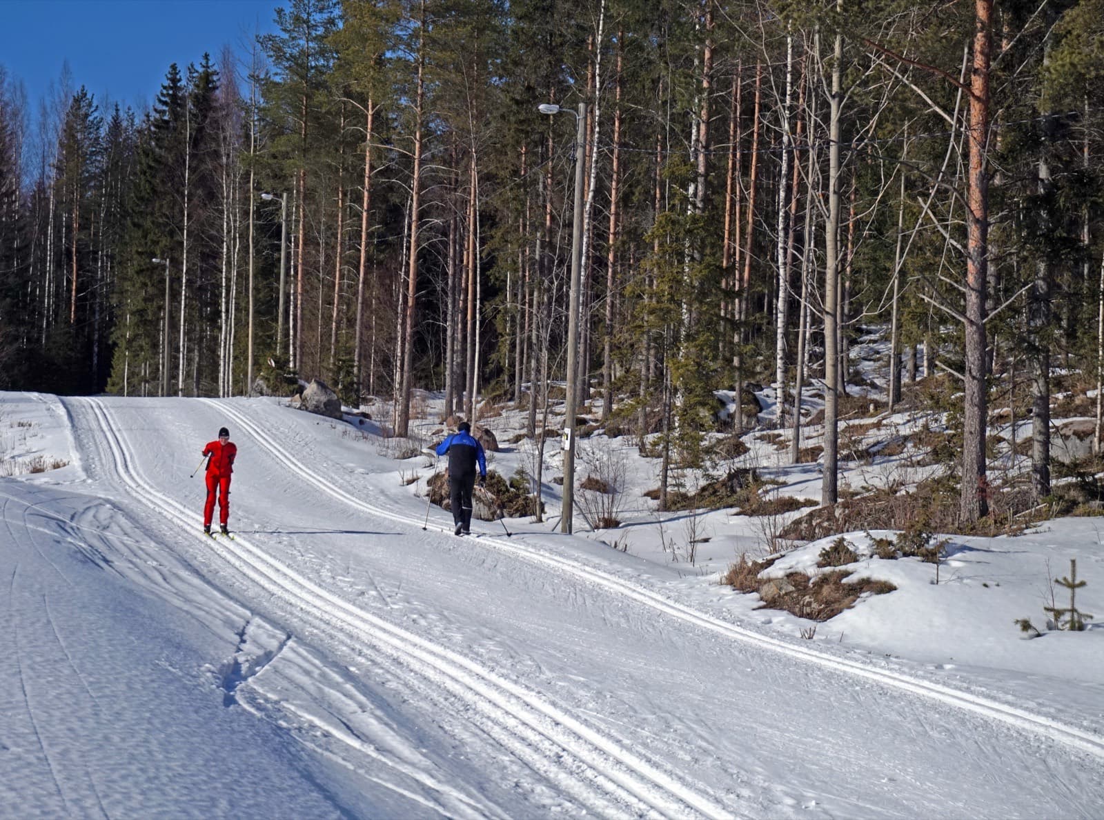 Two skiers on the floodlit cross-country track through the pine woods at Kypärämäki in Jyväskylä on a bright March day.