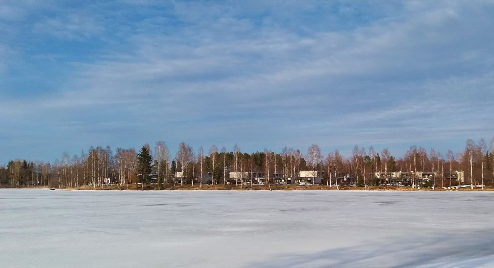 The frozen Lake Palokkajärvi in Jyväskylä with the low houses and birches of Lohikoski along the far shore under a wide spring sky.