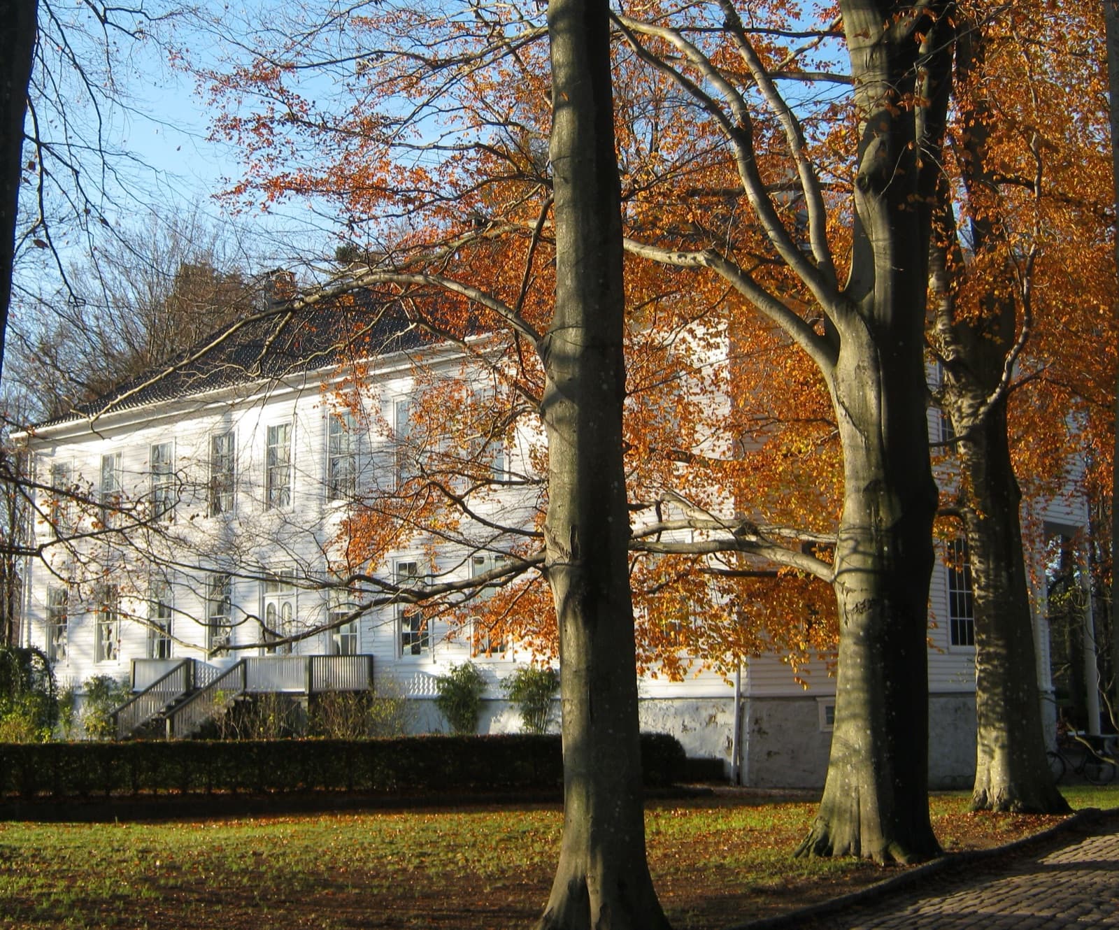 The white timber Gimle manor house behind copper-coloured beech trees on an autumn day, Lund, Kristiansand, Norway.