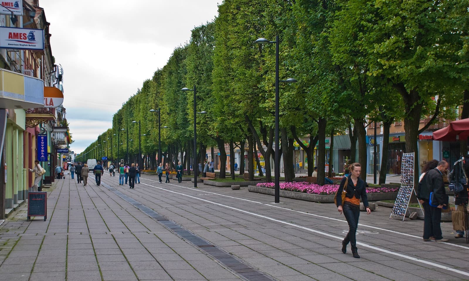 The tree-lined pedestrian avenue of Laisvės alėja running through Naujamiestis, Kaunas.