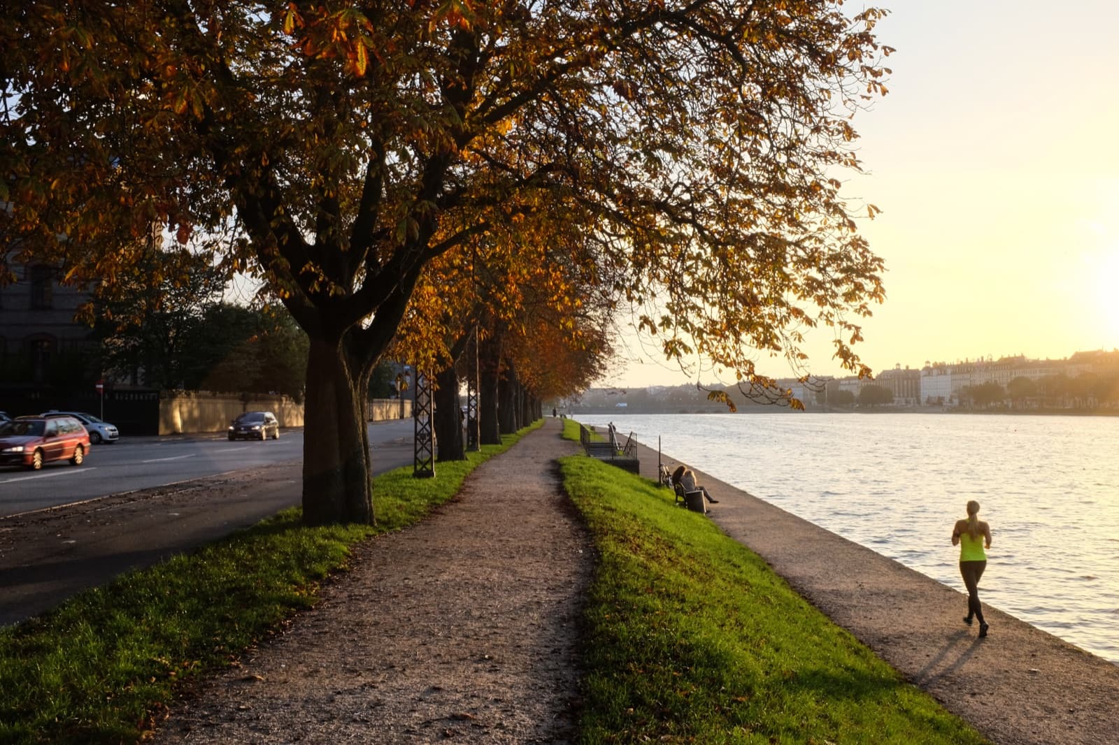 The lakeside promenade along Sortedams Sø in Østerbro, Copenhagen, at golden hour, with an autumn chestnut tree and a jogger running beside the water.
