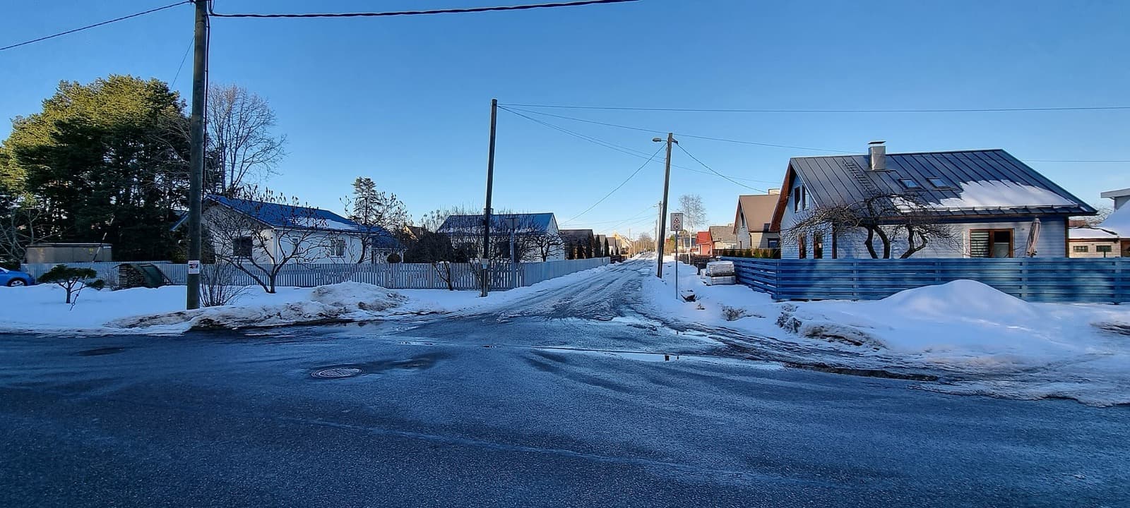 A quiet pine-lined residential street of detached villas in Raeküla, Pärnu, under a bright winter sky