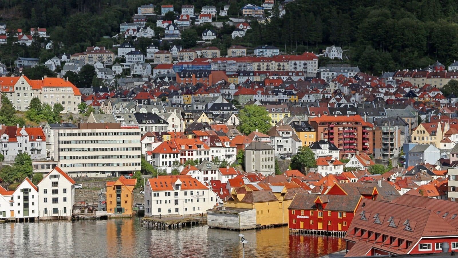 Sandviken in Bergen seen from above, with the timber quayside warehouses on the water and white wooden houses climbing the hillside behind.