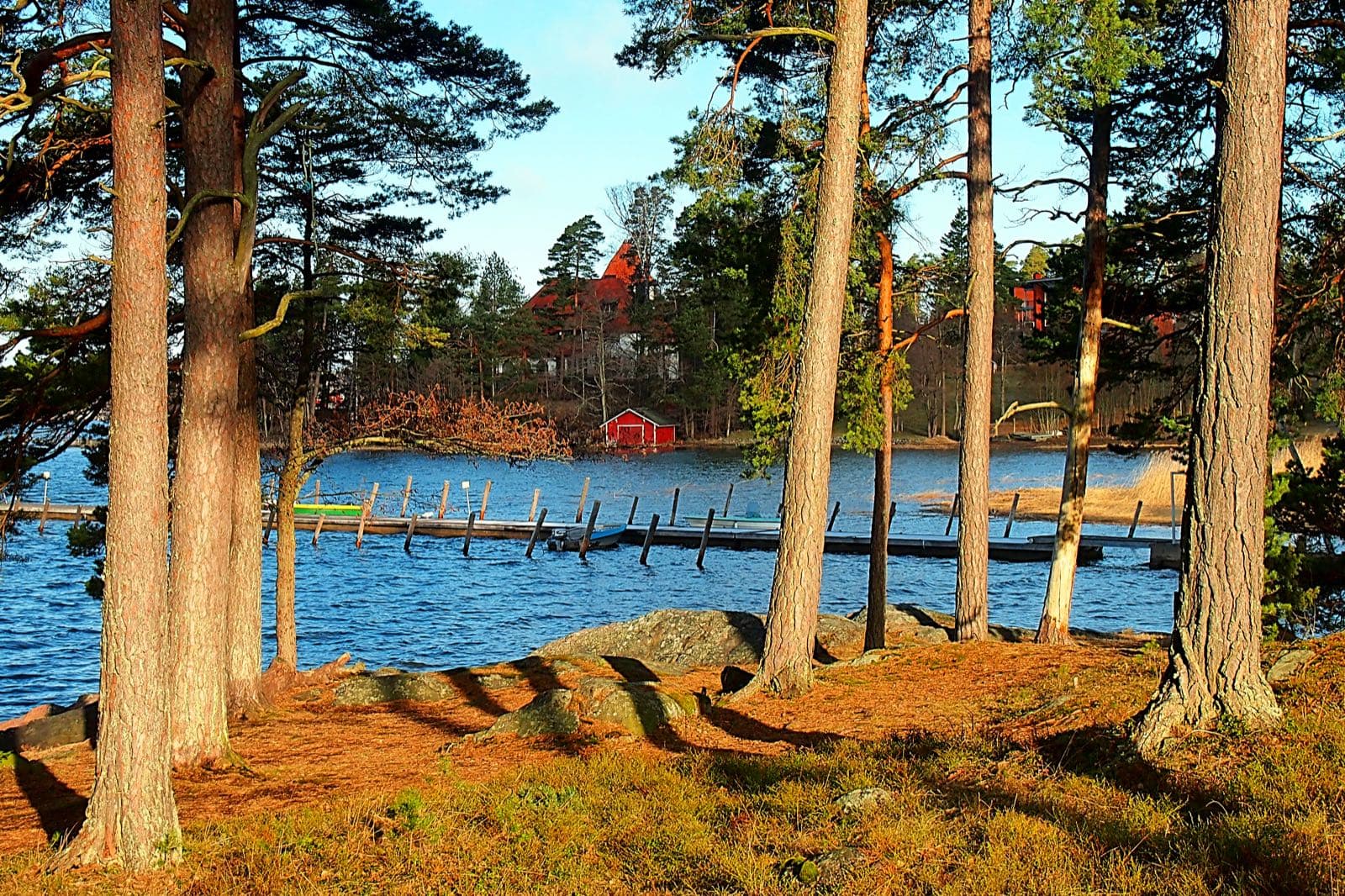 A spring morning on the Soukka shore in Espoo, tall pines above the rocks, wooden jetties on the bay and a red boathouse across the water.