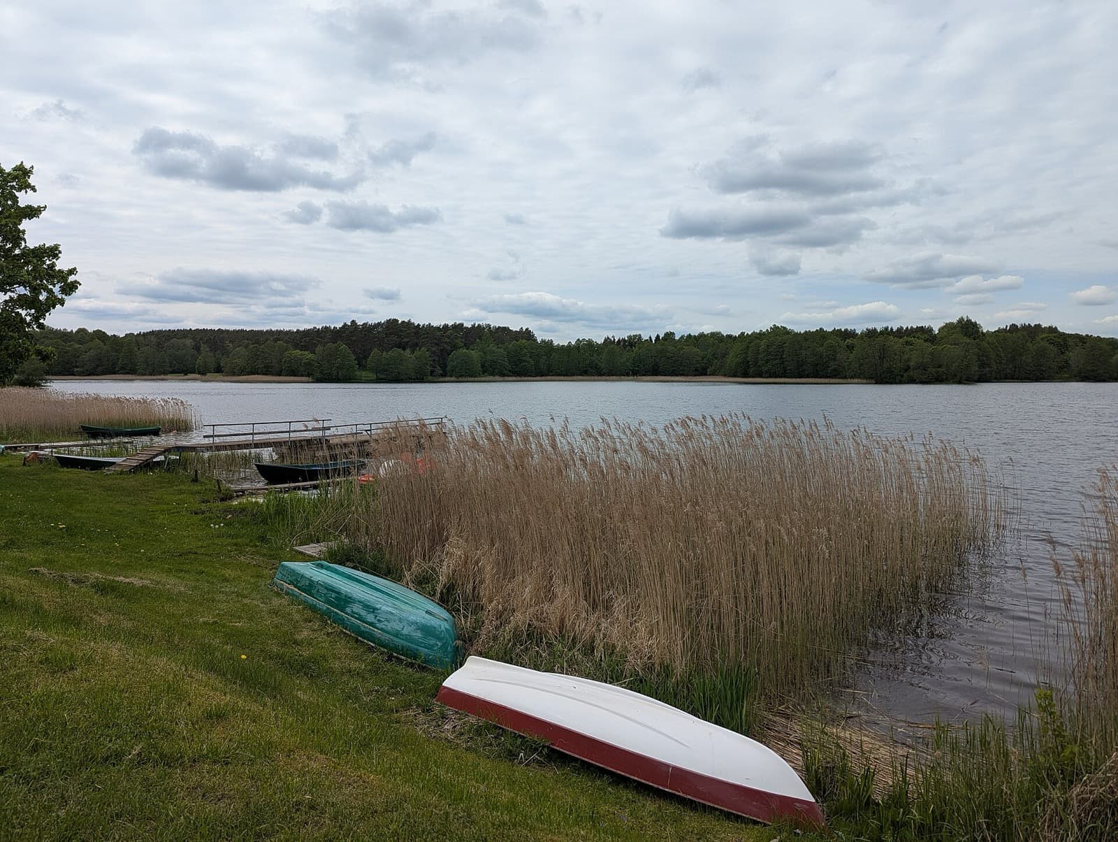 Rowing boats and reeds on the shore of Totoriškės Lake beside the residential town, Trakai.
