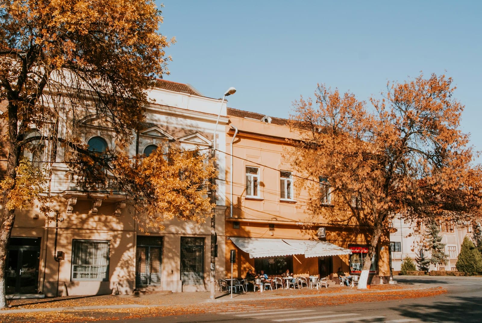 A quiet European street lined with trees in autumn colours